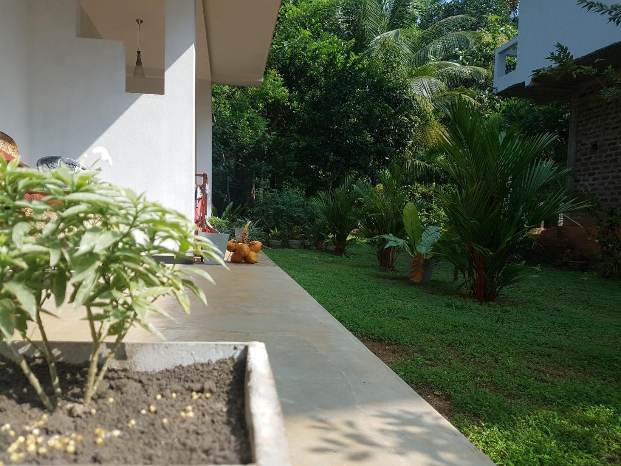 South Heaven Villa Hikkaduwa Exteriör bild